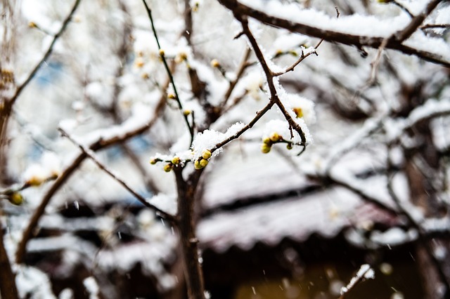 生涯中