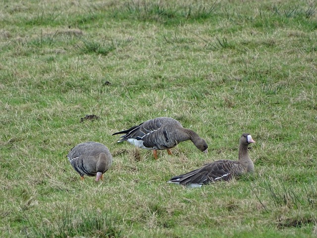 的控球極為 的控球極為