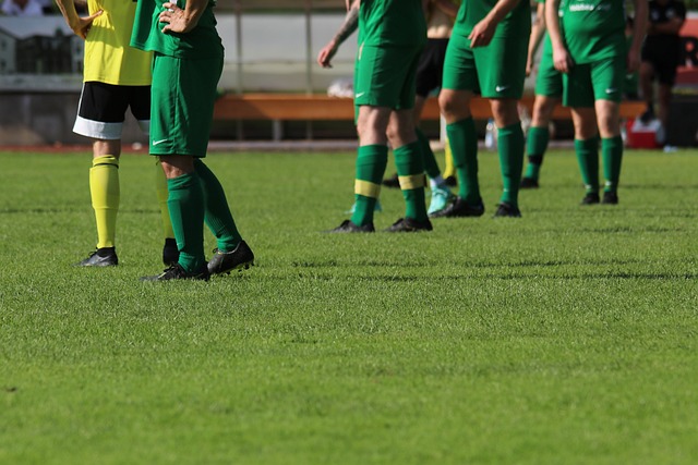 速的康复 速的康复