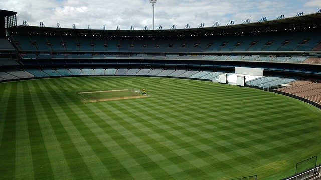 仅促进了泰 仅促进了泰