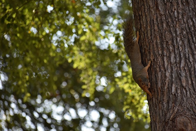 里实现自己 里实现自己