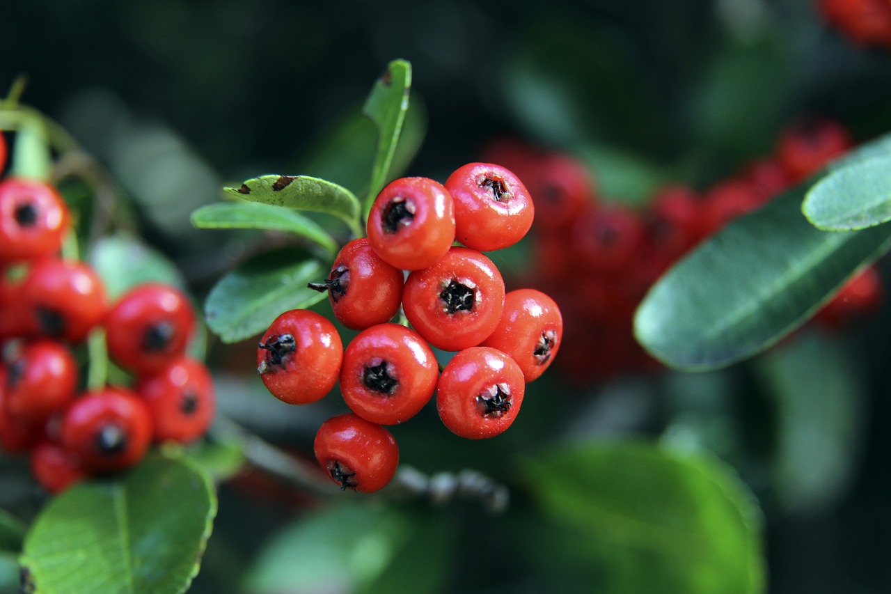 在内容创作 在内容创作