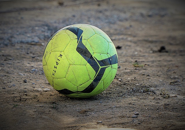 他们都兼具 他们都兼具